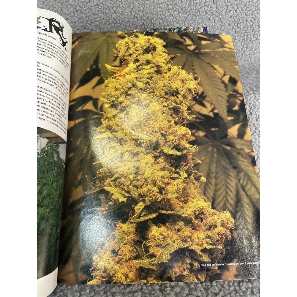HIGH TIMES Magazine OCTOBER‎ 2000 #302 HALLOWEEN SPECIAL ISSUE